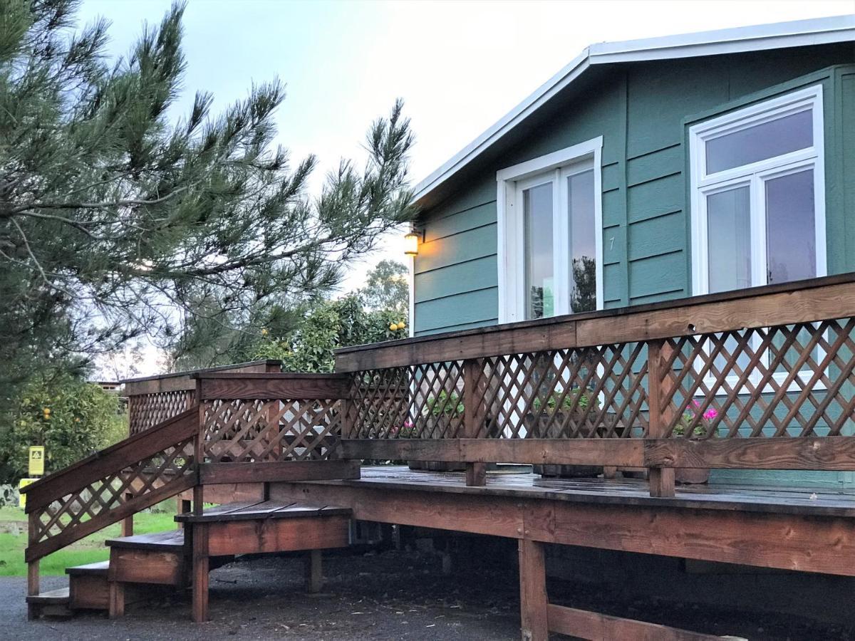 Casa Mayoral B&B Pet Friendly Valle de Guadalupe Zewnętrze zdjęcie
