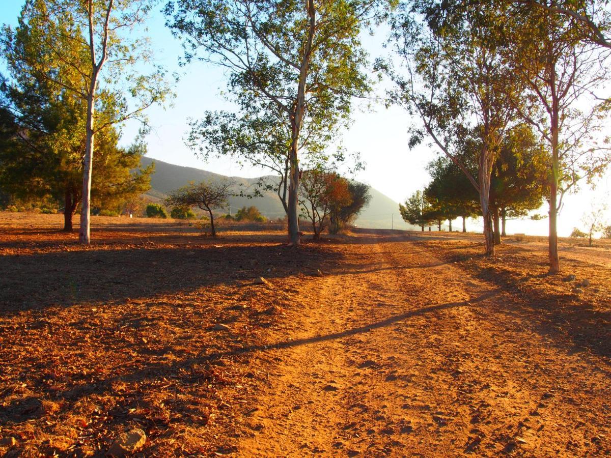 Casa Mayoral B&B Pet Friendly Valle de Guadalupe Zewnętrze zdjęcie