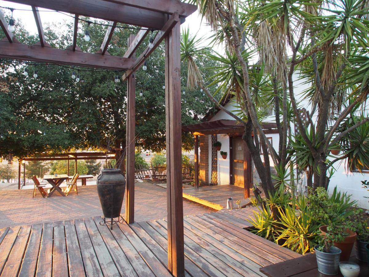 Casa Mayoral B&B Pet Friendly Valle de Guadalupe Zewnętrze zdjęcie