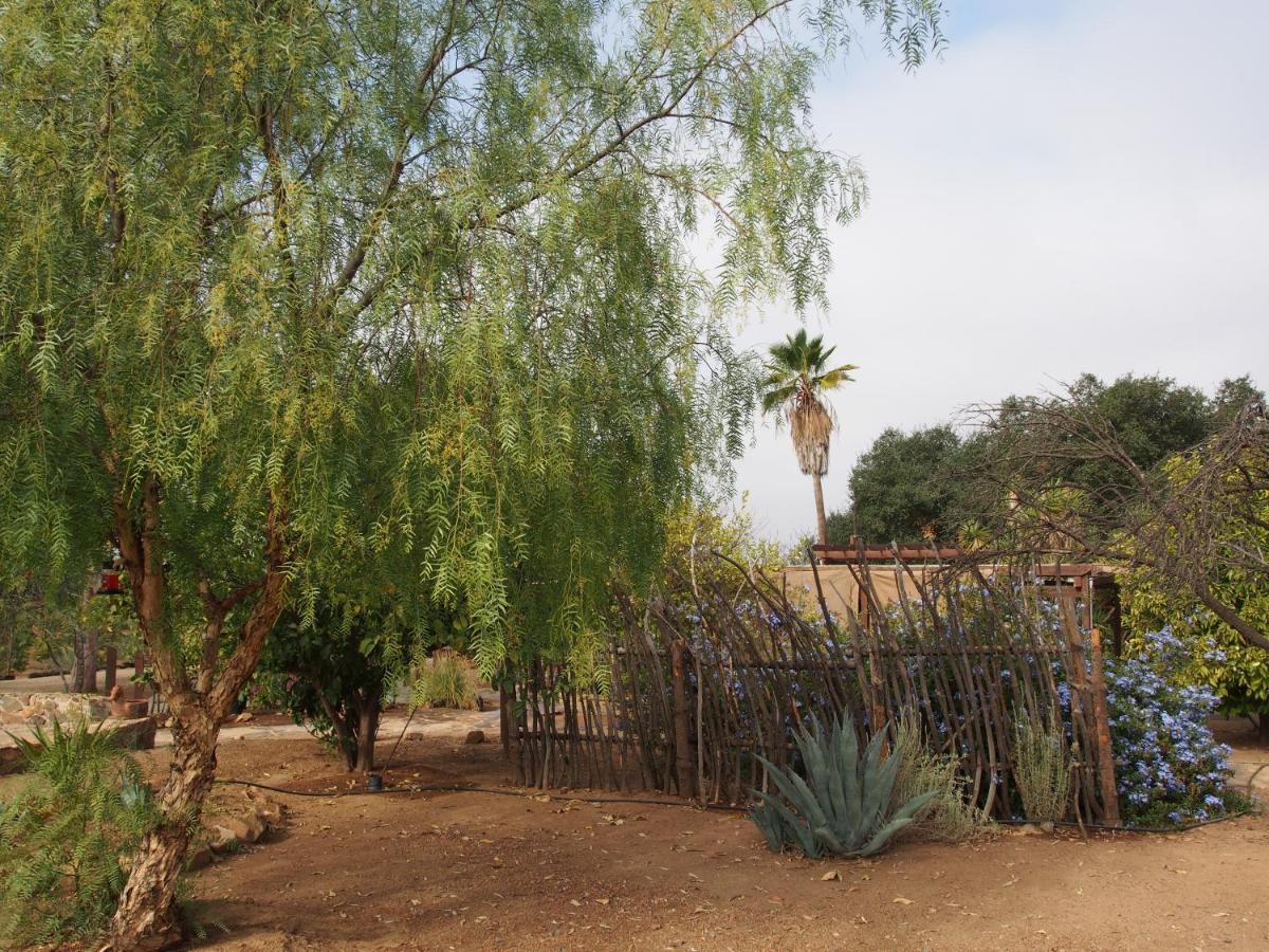 Casa Mayoral B&B Pet Friendly Valle de Guadalupe Zewnętrze zdjęcie