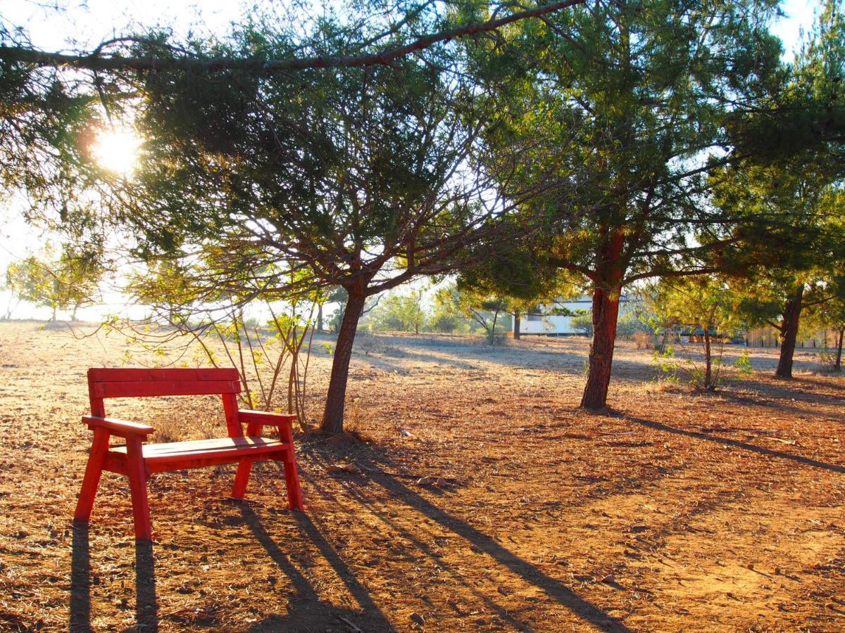 Casa Mayoral B&B Pet Friendly Valle de Guadalupe Zewnętrze zdjęcie
