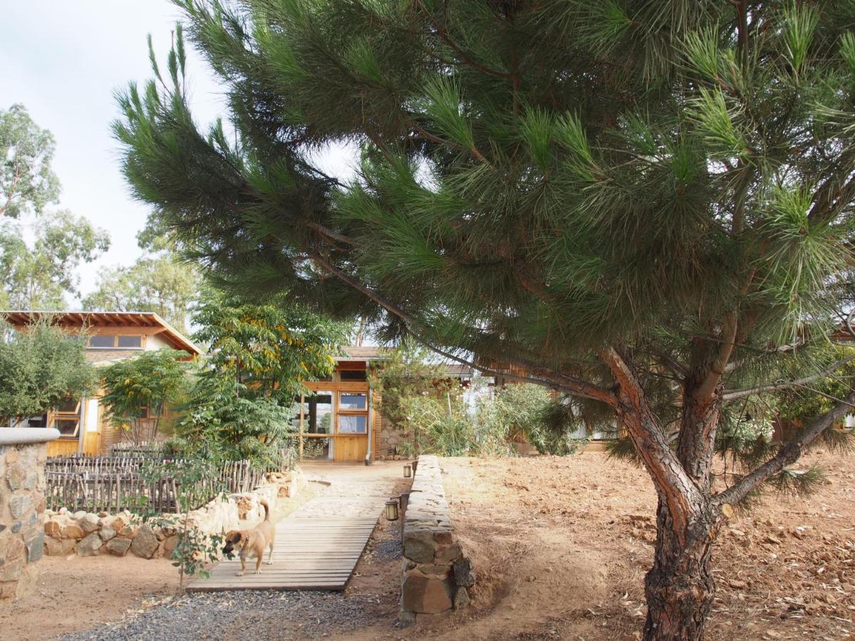 Casa Mayoral B&B Pet Friendly Valle de Guadalupe Zewnętrze zdjęcie