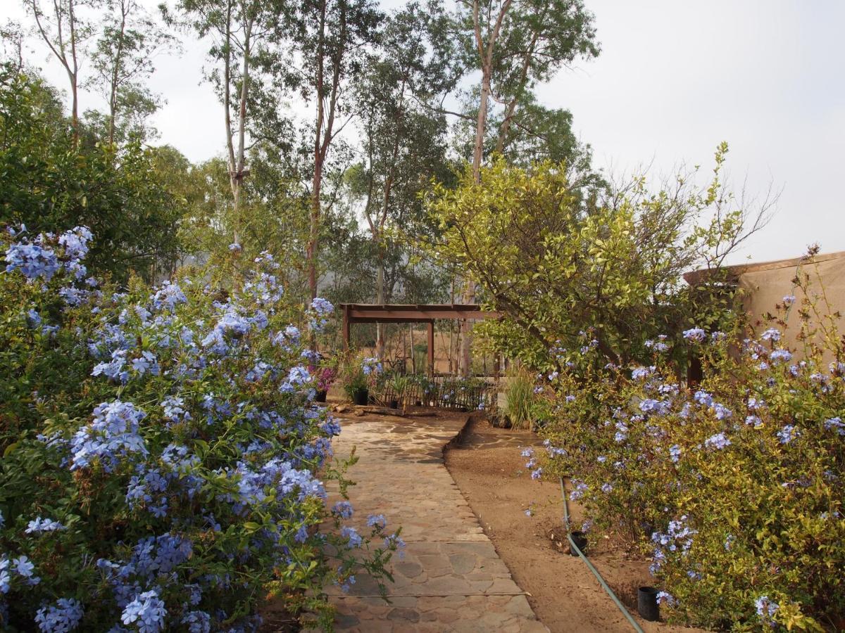 Casa Mayoral B&B Pet Friendly Valle de Guadalupe Zewnętrze zdjęcie