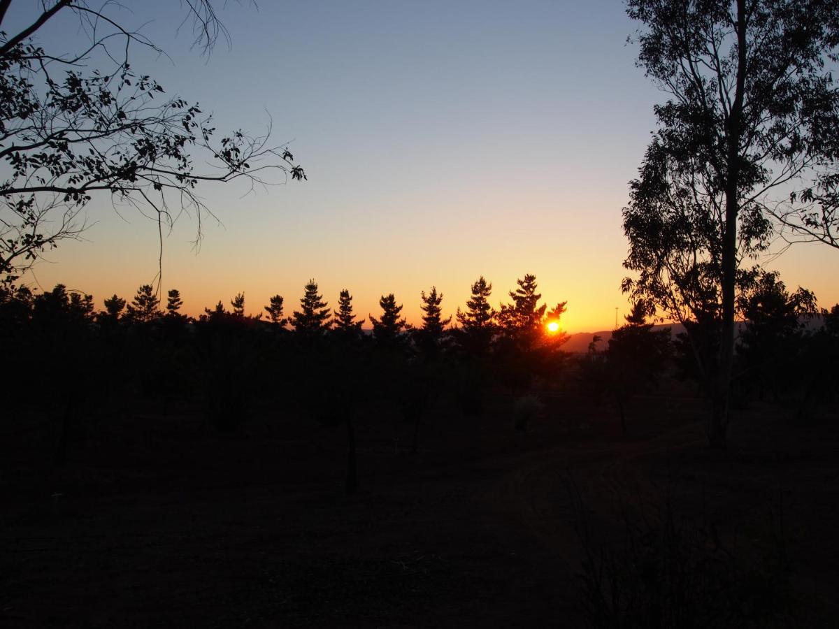 Casa Mayoral B&B Pet Friendly Valle de Guadalupe Zewnętrze zdjęcie