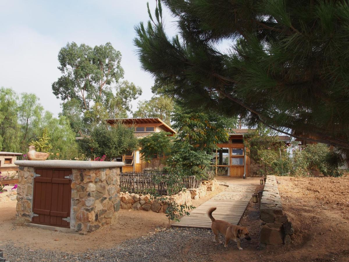 Casa Mayoral B&B Pet Friendly Valle de Guadalupe Zewnętrze zdjęcie