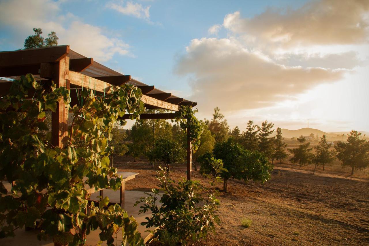 Casa Mayoral B&B Pet Friendly Valle de Guadalupe Zewnętrze zdjęcie
