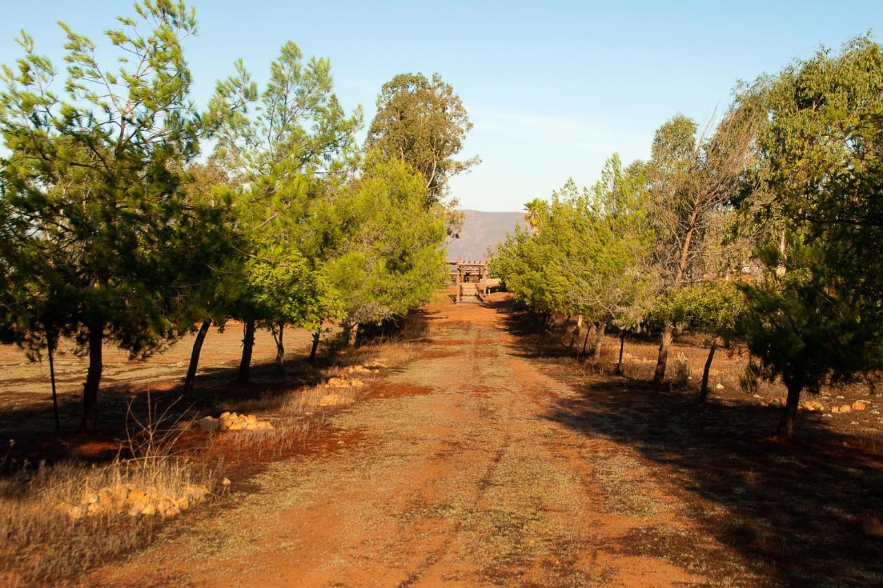 Casa Mayoral B&B Pet Friendly Valle de Guadalupe Zewnętrze zdjęcie