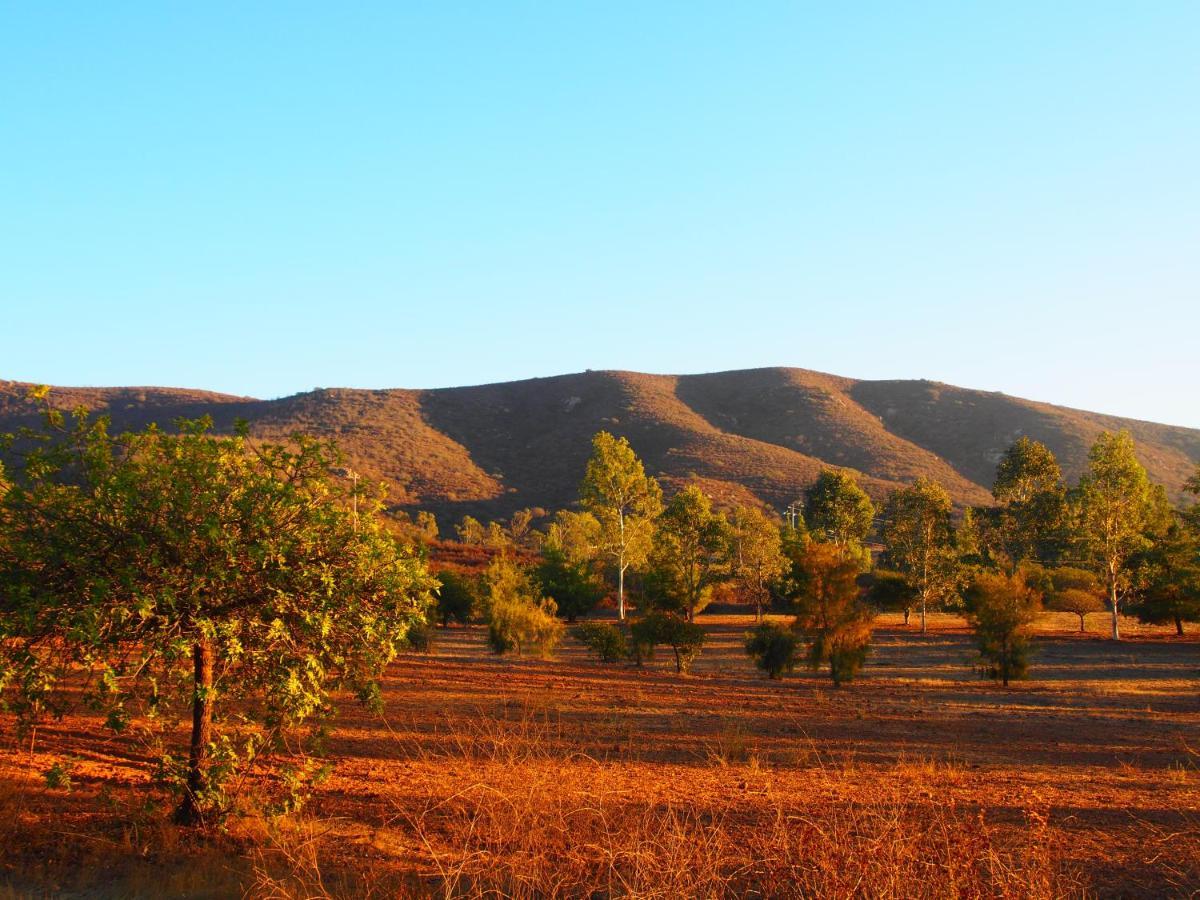 Casa Mayoral B&B Pet Friendly Valle de Guadalupe Zewnętrze zdjęcie