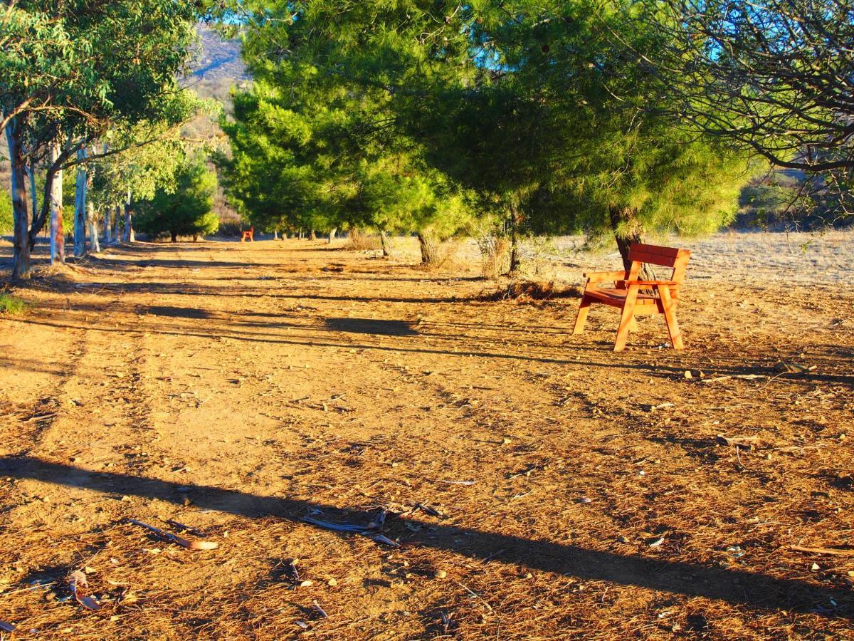 Casa Mayoral B&B Pet Friendly Valle de Guadalupe Zewnętrze zdjęcie