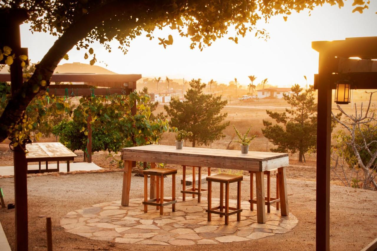 Casa Mayoral B&B Pet Friendly Valle de Guadalupe Zewnętrze zdjęcie