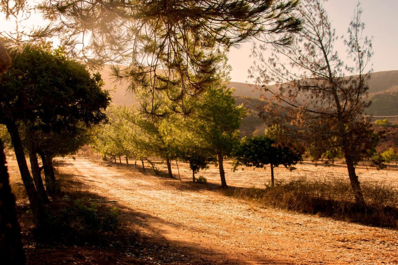 Casa Mayoral B&B Pet Friendly Valle de Guadalupe Zewnętrze zdjęcie