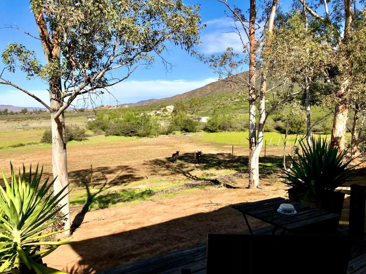 Casa Mayoral B&B Pet Friendly Valle de Guadalupe Zewnętrze zdjęcie