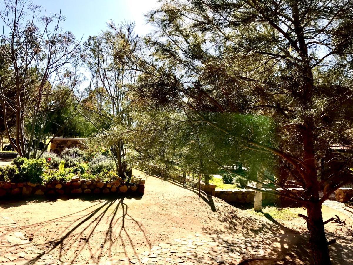 Casa Mayoral B&B Pet Friendly Valle de Guadalupe Zewnętrze zdjęcie