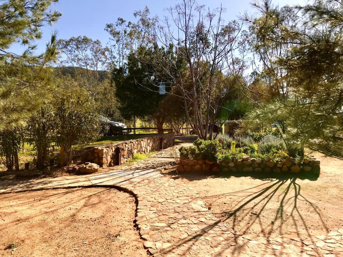 Casa Mayoral B&B Pet Friendly Valle de Guadalupe Zewnętrze zdjęcie