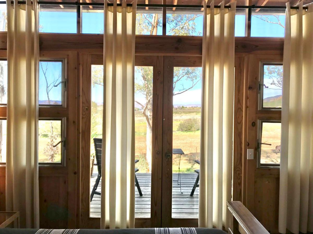 Casa Mayoral B&B Pet Friendly Valle de Guadalupe Zewnętrze zdjęcie