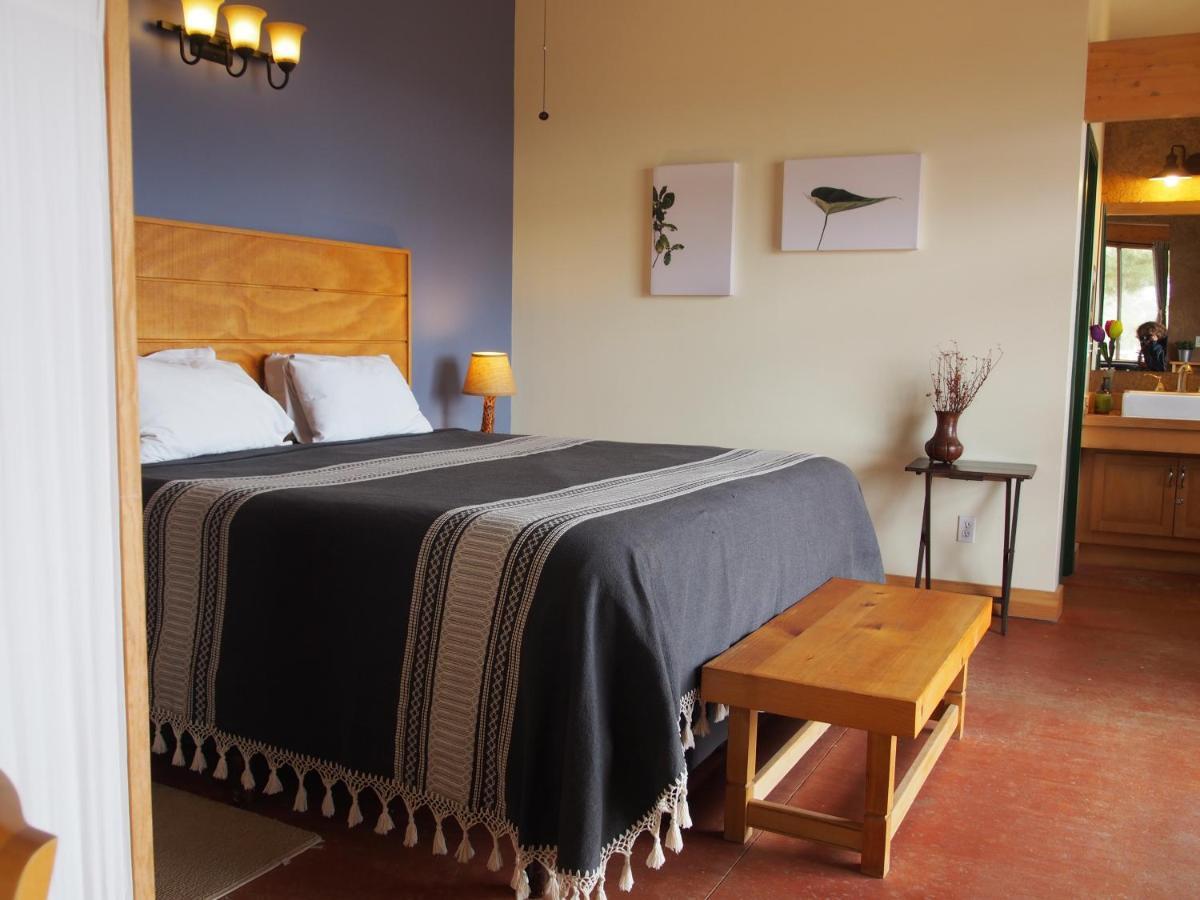 Casa Mayoral B&B Pet Friendly Valle de Guadalupe Zewnętrze zdjęcie