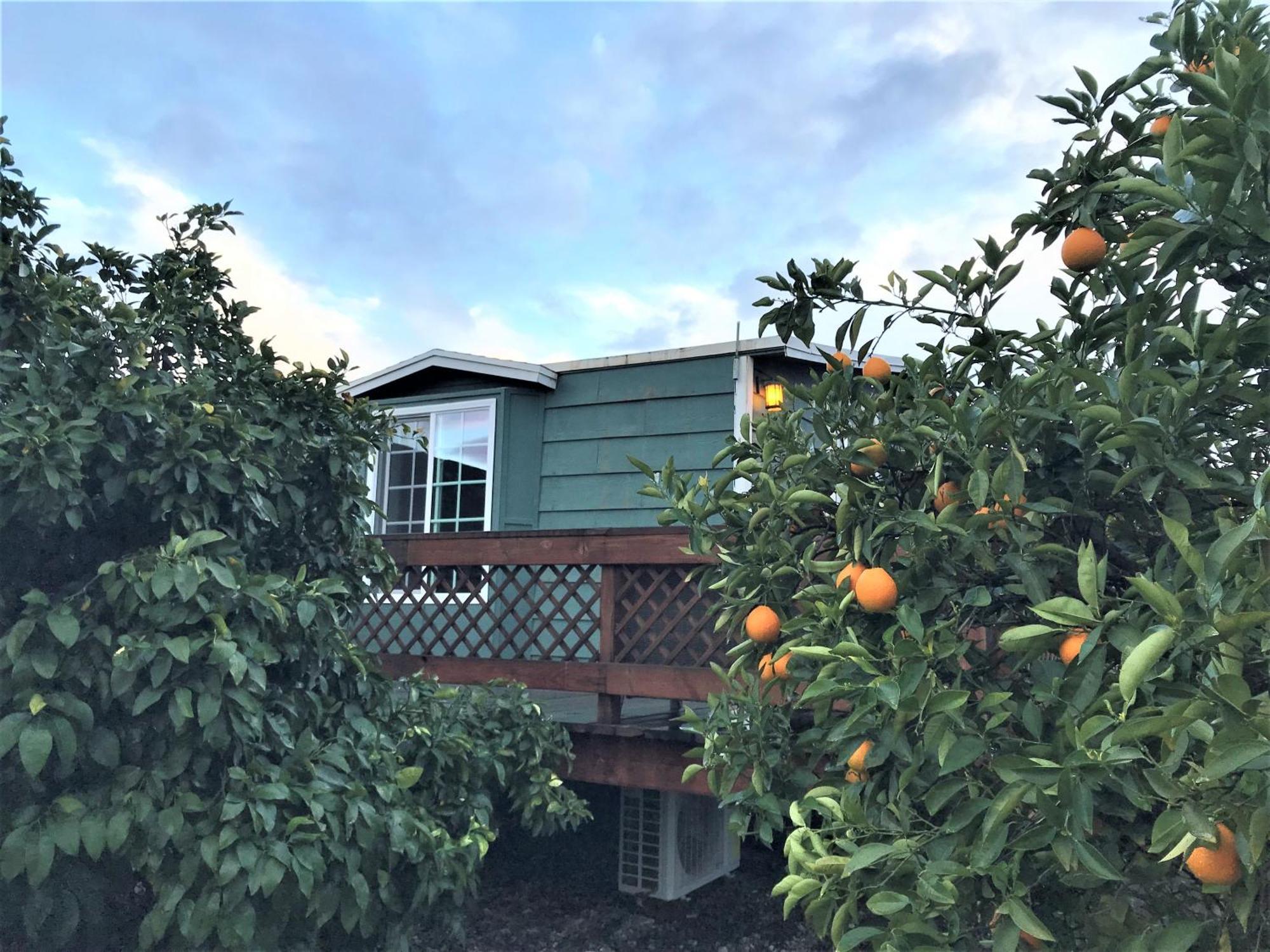 Casa Mayoral B&B Pet Friendly Valle de Guadalupe Zewnętrze zdjęcie